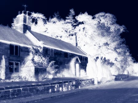 Cyanotype 286c - Solarized