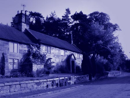 Cyanotype - High-Blue