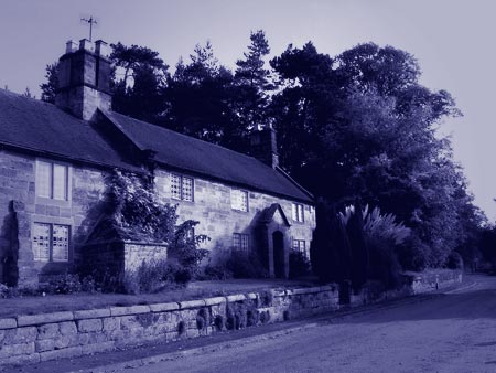 Cyanotype - Mid-Blue