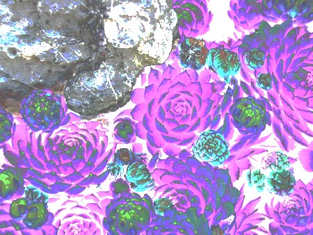 Posterized Pastel